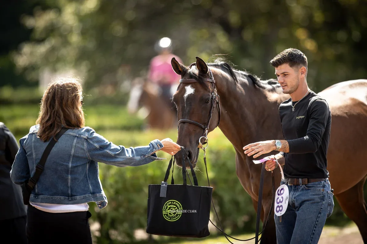 Upgrade Your Ride with Custom Equestrian Apparel That Performs