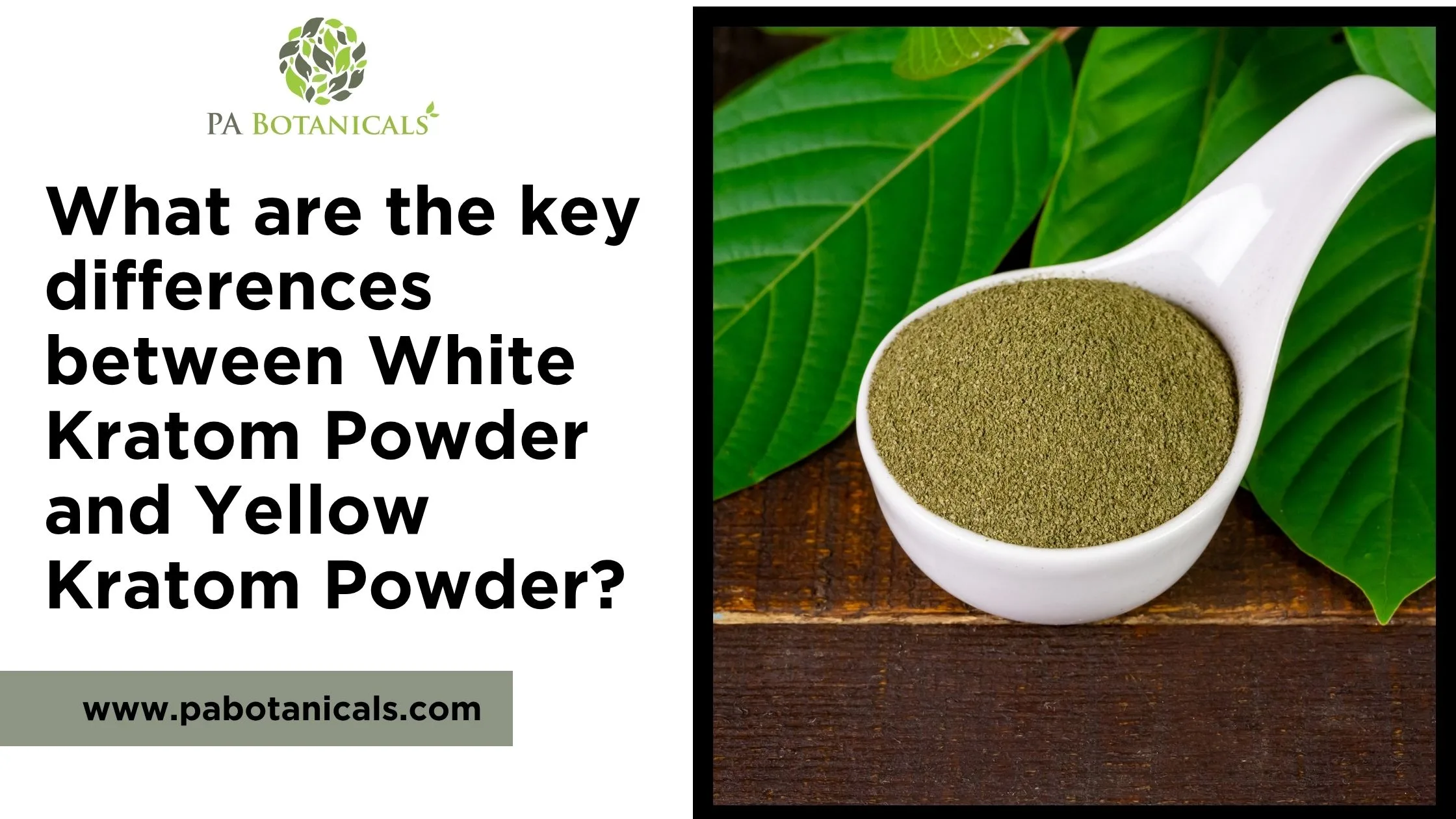 What are the key differences between White Kratom Powder and Yellow Kratom Powder?