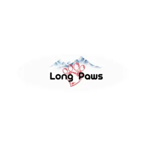 Playtime to Walk Time: Choosing Fun and Practical Dog Accessories