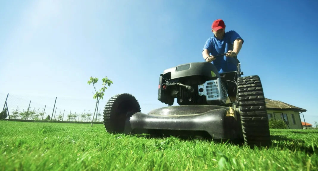 Reliable Lawn Mowing Lethbridge Services for a Healthier, Greener Yard