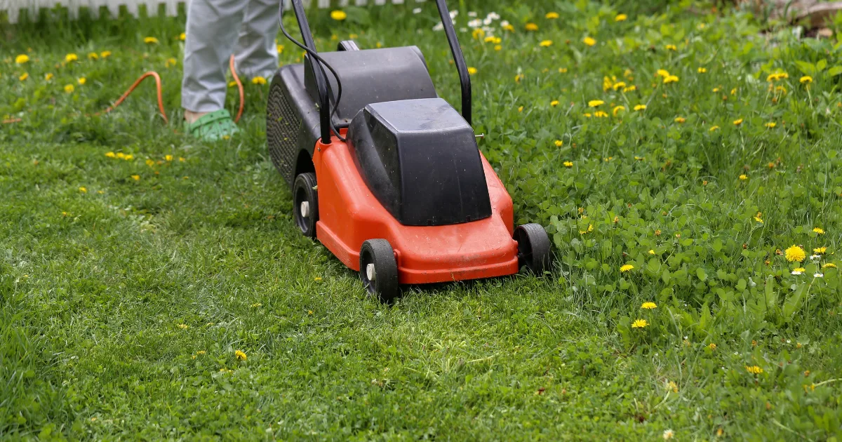 Best Time to Start Mowing in Lethbridge & How to Choose a Reliable Tree Pruning Service Near You