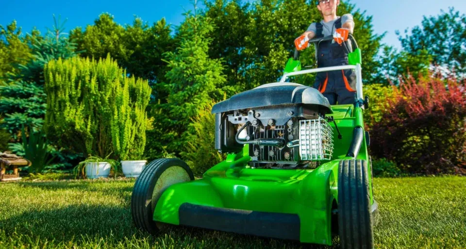 How Professional Lawn Care Transforms Outdoor Spaces in Lethbridge