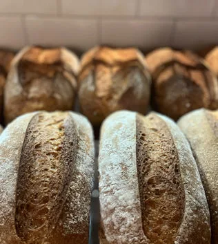 Why Homemade Vegan Bread Tastes Better Than Store-Bought