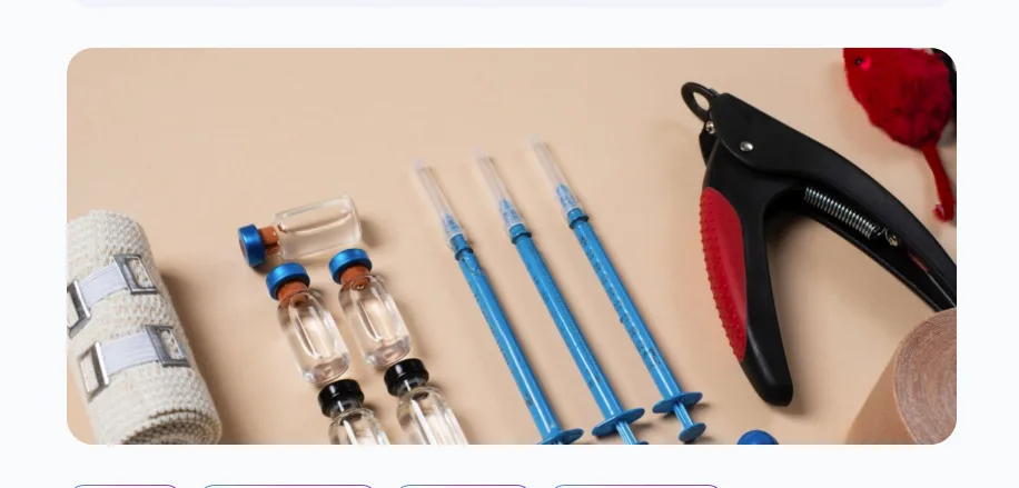 DME Meaning: A Complete Guide to Durable Medical Equipment in Healthcare