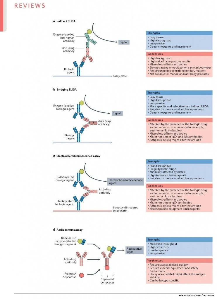 immunoassay for anti-drug antibody (ADA) tests