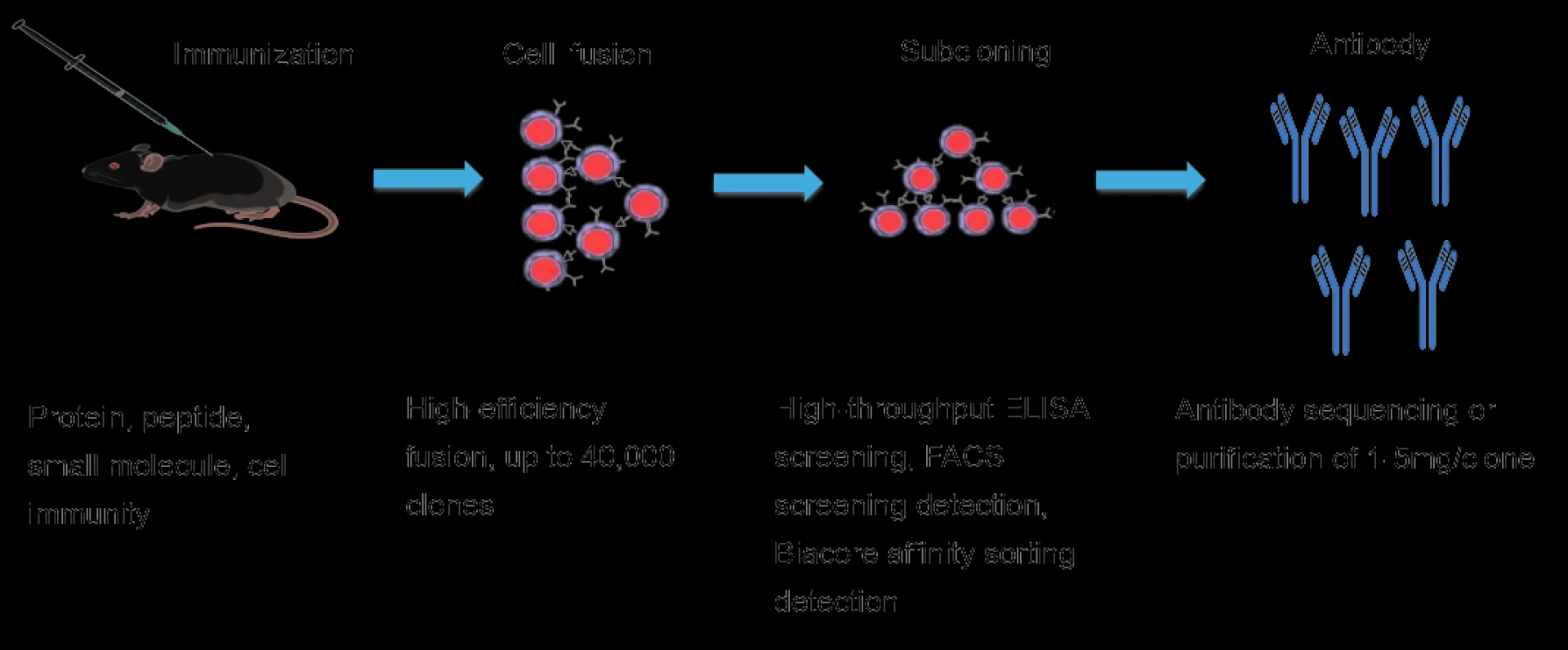 Development Process of Hybridoma Technology Platform