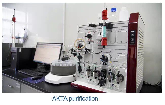 Hybridoma Technology Advanced Equipment-AKTA purification