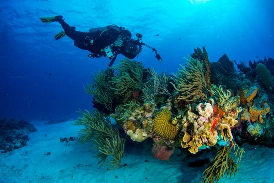 Viaje en lancha / barco a Punta Nizuc y Submarino - Opiniones sobre Aquaworld Cancún, Cancún, México - Comentarios - Tripadvisor