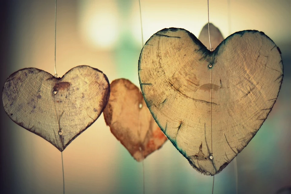 Free Heart Love photo and picture