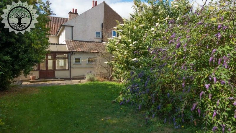 Garden Clearance | Garden clearance near me | Overgrown Garden Clearance