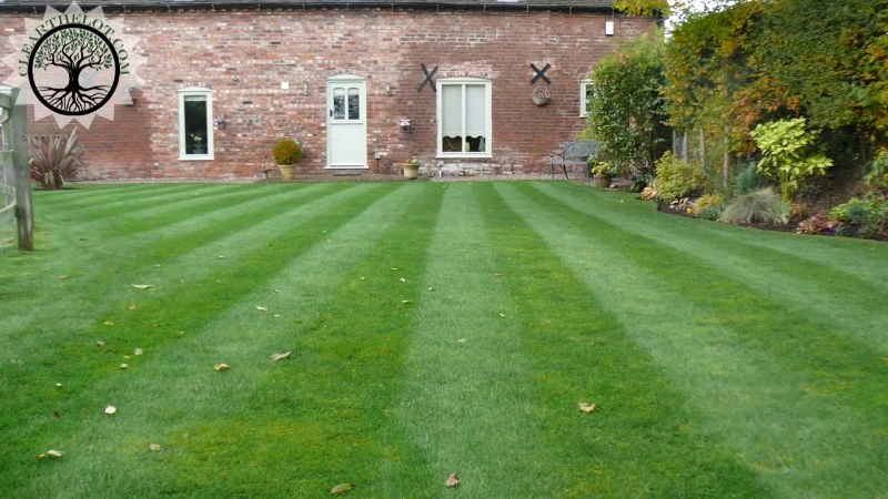 Garden Clearance | Garden clearance near me