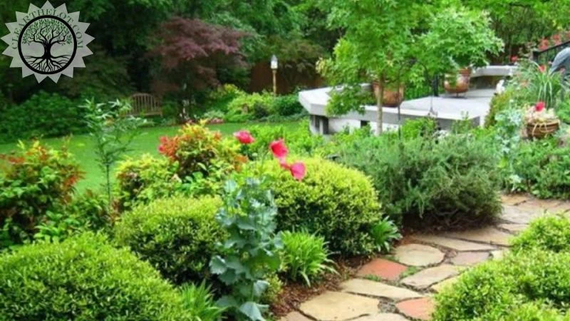 Garden Clearance | Garden clearance near me