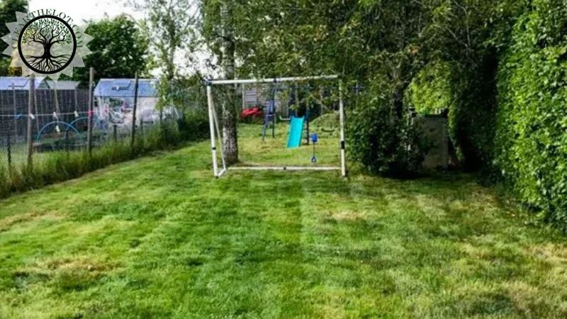 House Clearance | House Clearance Near Me