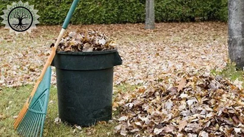 Garden Clearance | Garden clearance near me