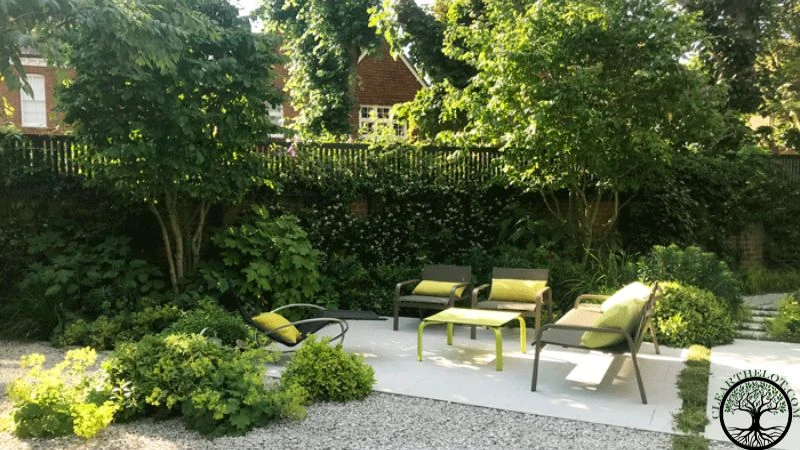 Garden Clearance | Garden clearance near me