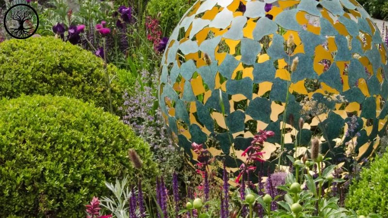 Garden Clearance | Garden clearance near me