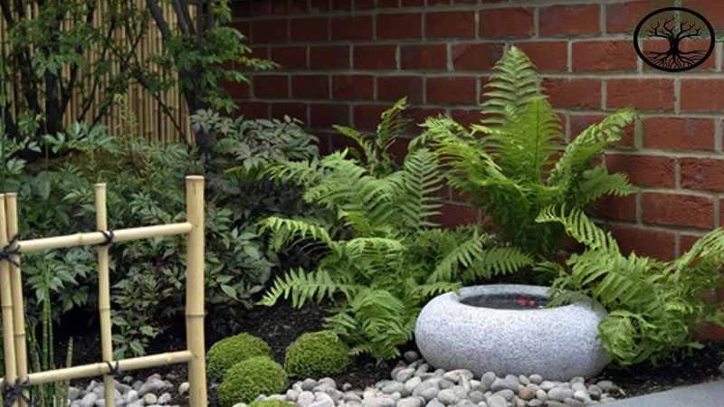 Garden Clearance | Garden clearance near me