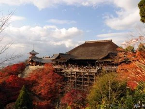 japan guided tours