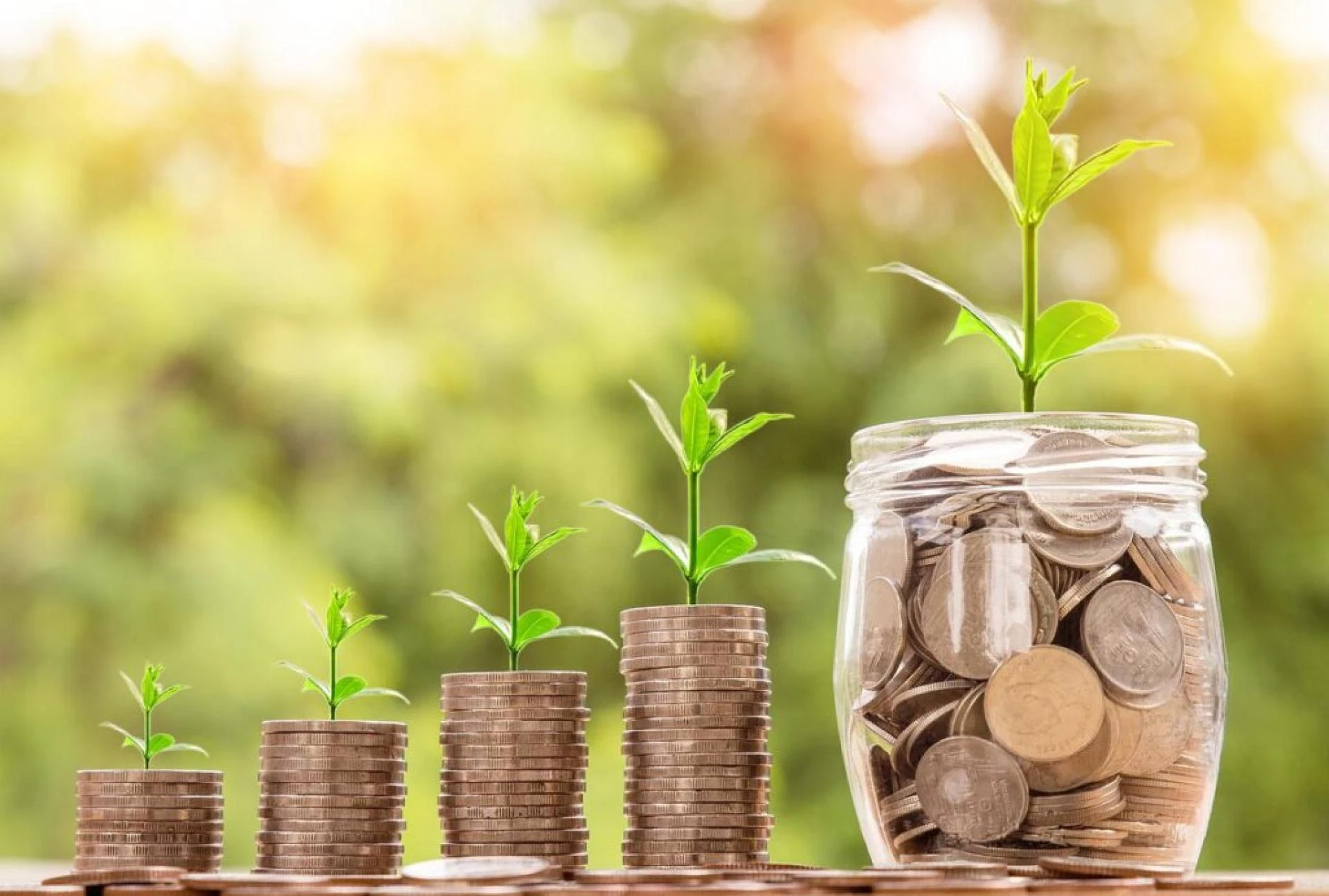 Different Types of Investment