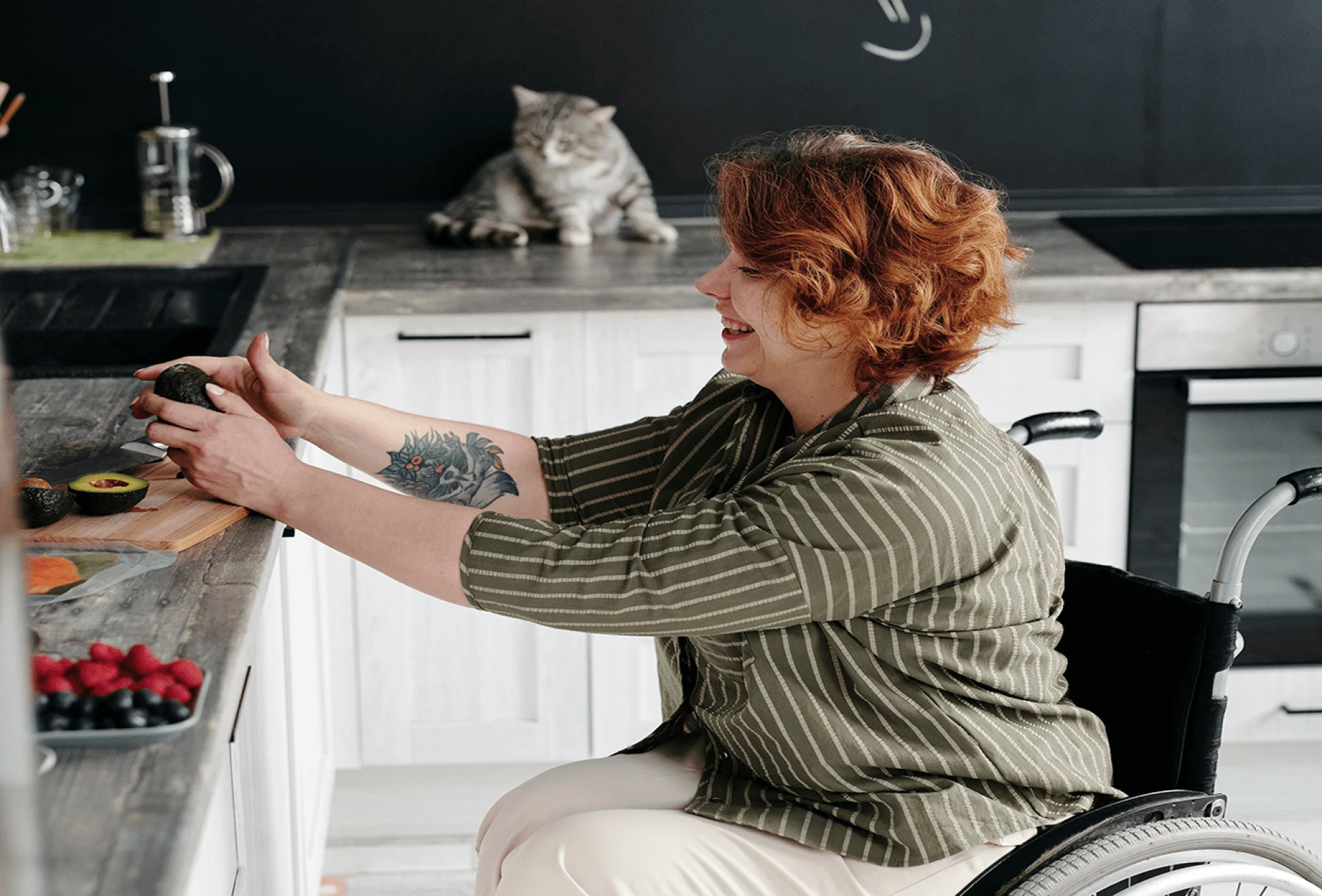 kitchen with cats
