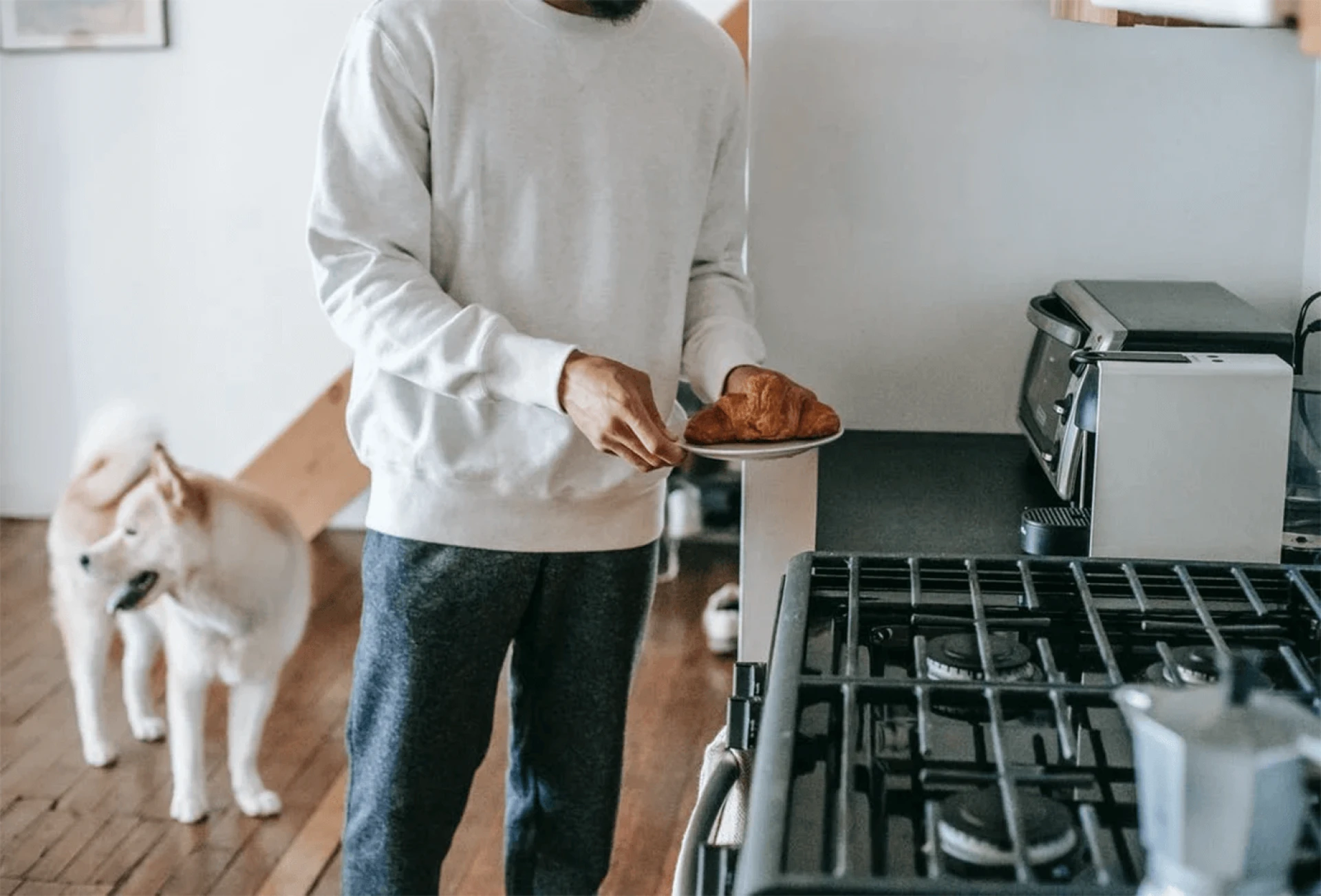 Pet Friendly Kitchen - 12 Factors to Consider