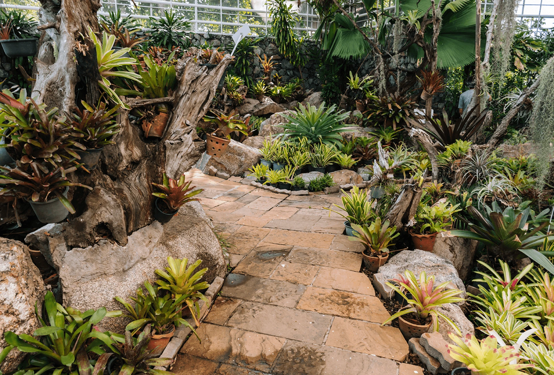 Modern Garden Design; Everything You Need to Know