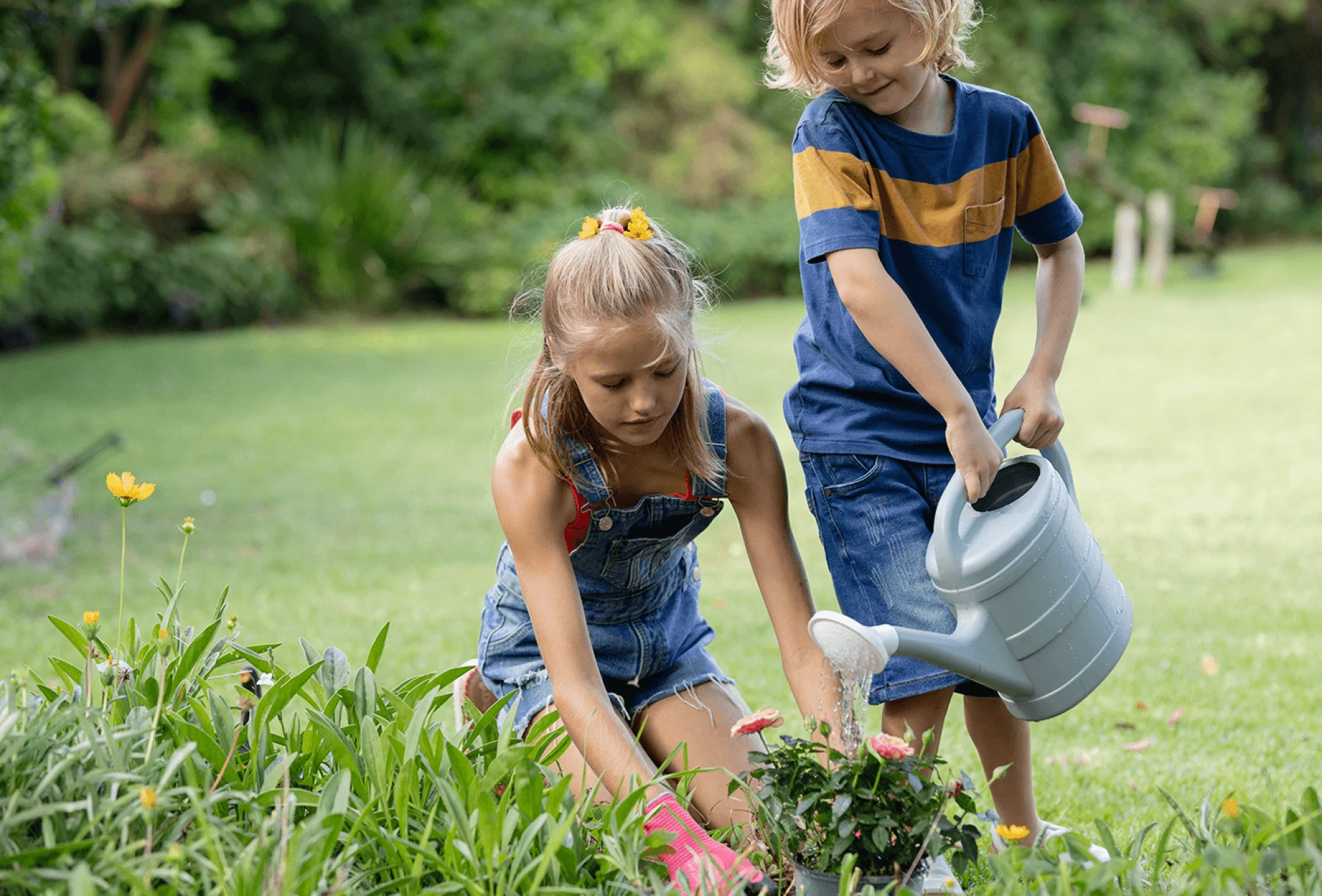 planting the trees