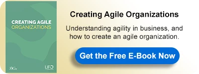 E-Book: Creating Agile Organizations