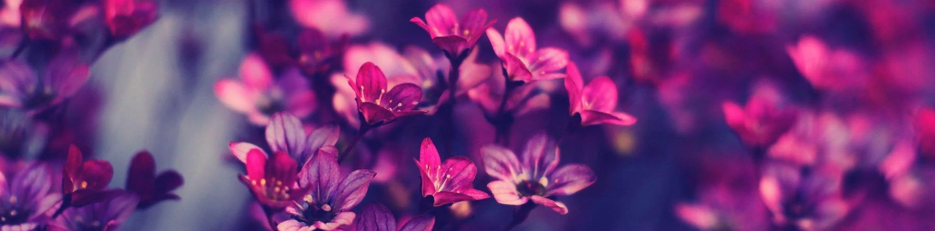 Everything Is Beautiful