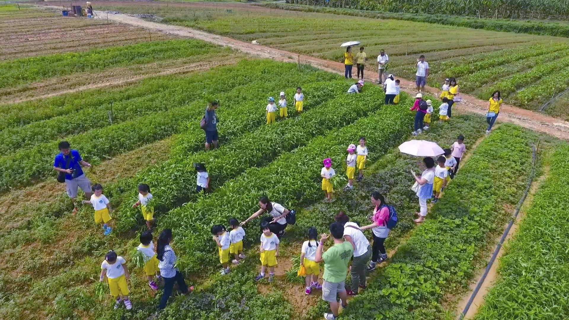 7 Agrotourism Attractions to Check Out if You Love Spending Time in the Farm - Gaya Travel Magazine