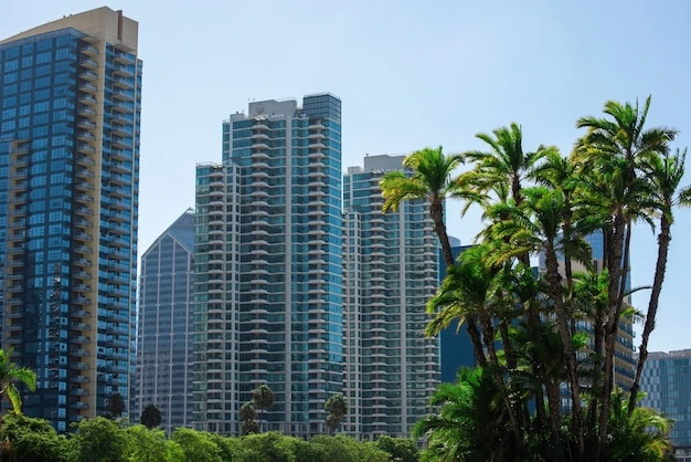 Palm trees and buildings in San Diego