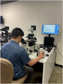 Proper Guidance on How to Establish a Career in the Embryology Field