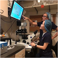 Proper Guidance on How to Establish a Career in the Embryology Field