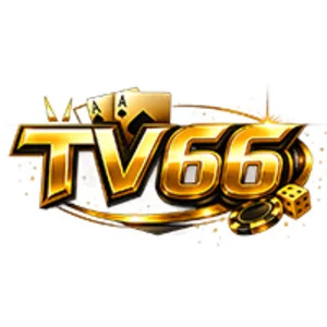 TV 66