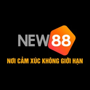 NEW88 INFO