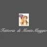 maggio
