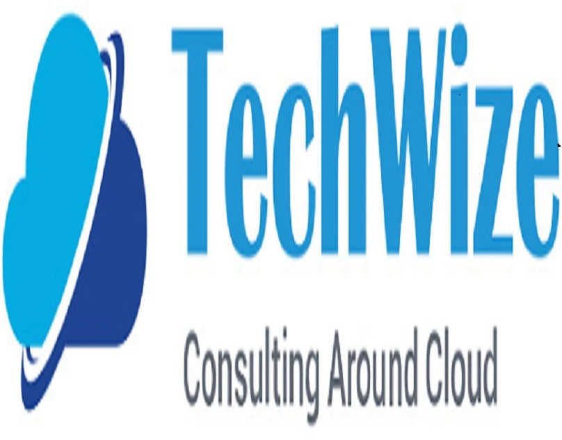 techwize