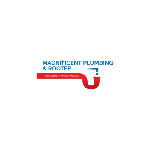 Magnificent Plumbing
