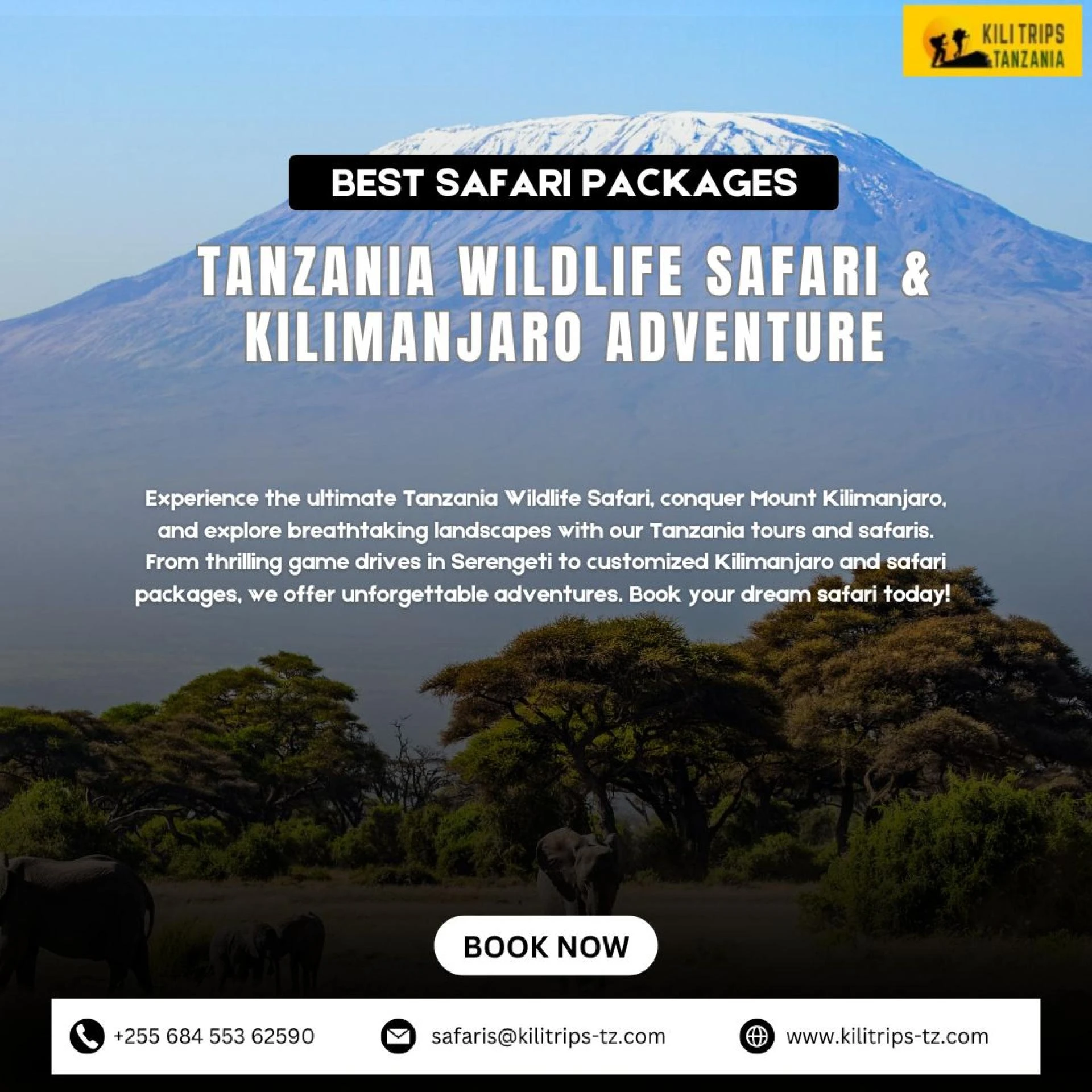 kili Trips