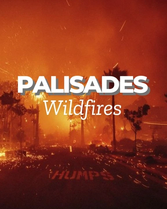 Palisades Wildfires