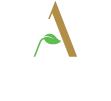 Anvita