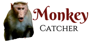 Monkey Cather