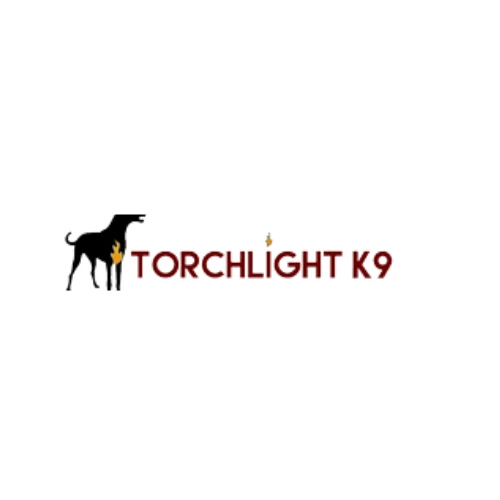 Torch Lightk