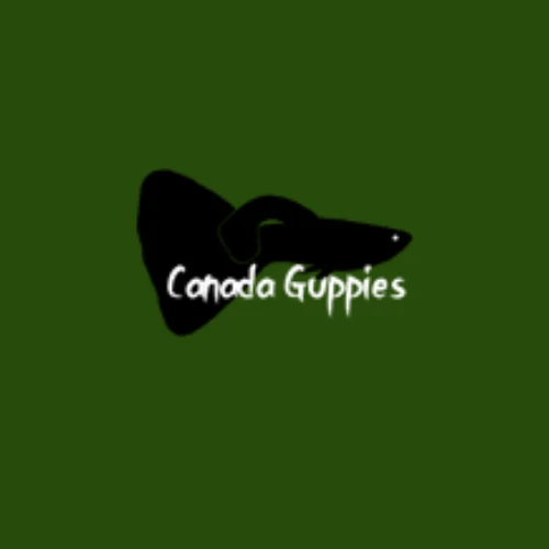 canadaguppies