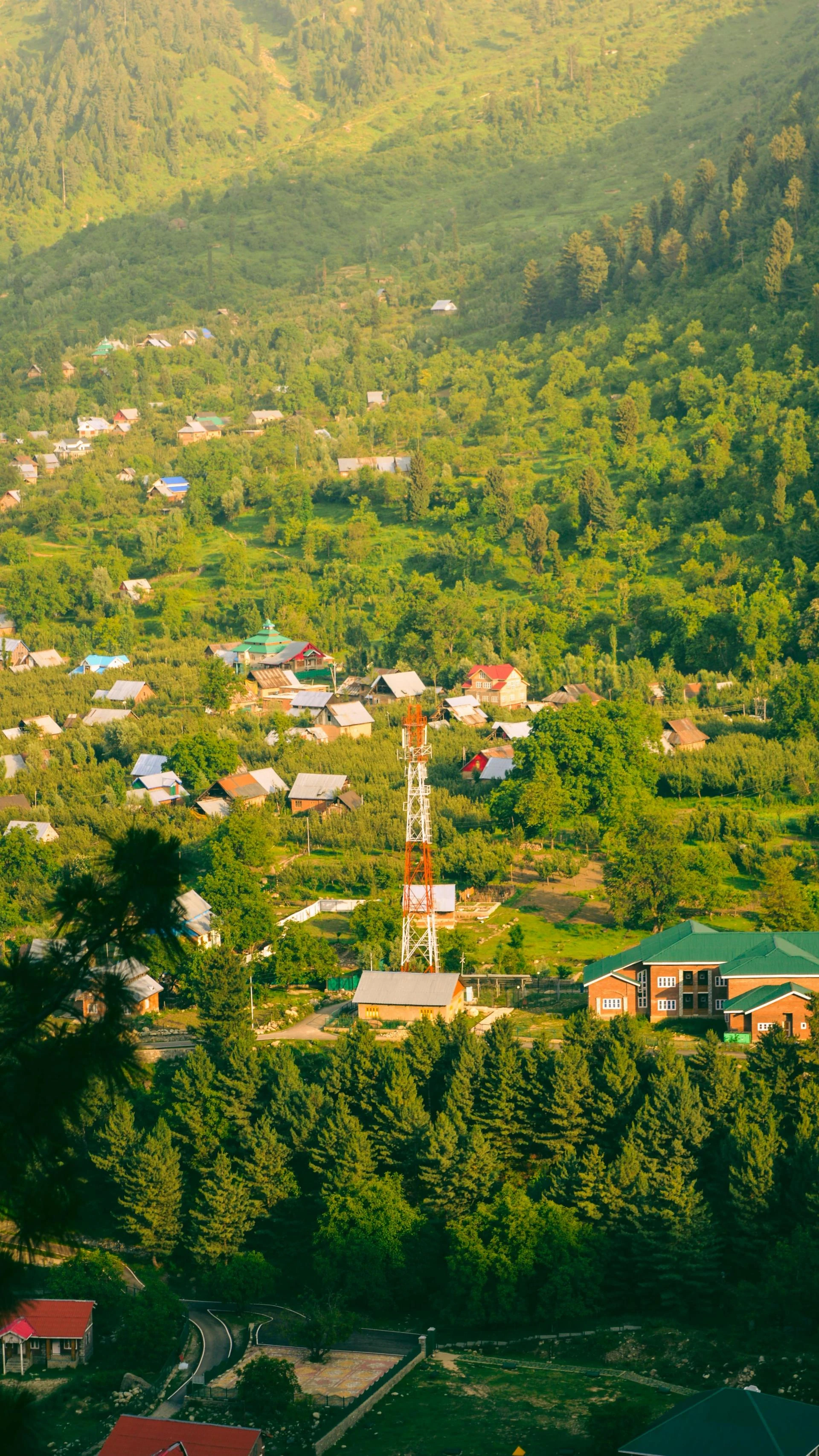 Cedarhillpk