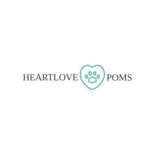 Heart Love Poms
