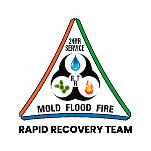 Rapid Recovery Team