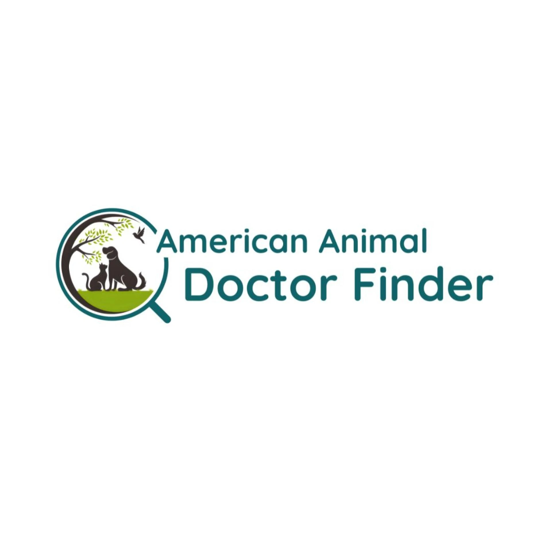 American Animal Doctor