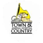 Town And Country Pet Grooming