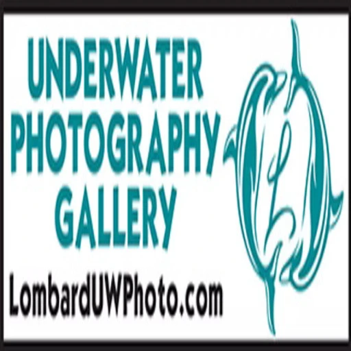 LombardUwPhoto Florida